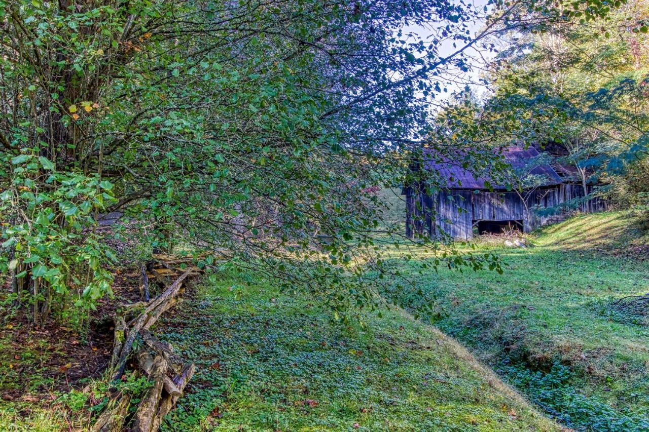 Cozy Creek Cabin Pigeon Forge Exteriör bild