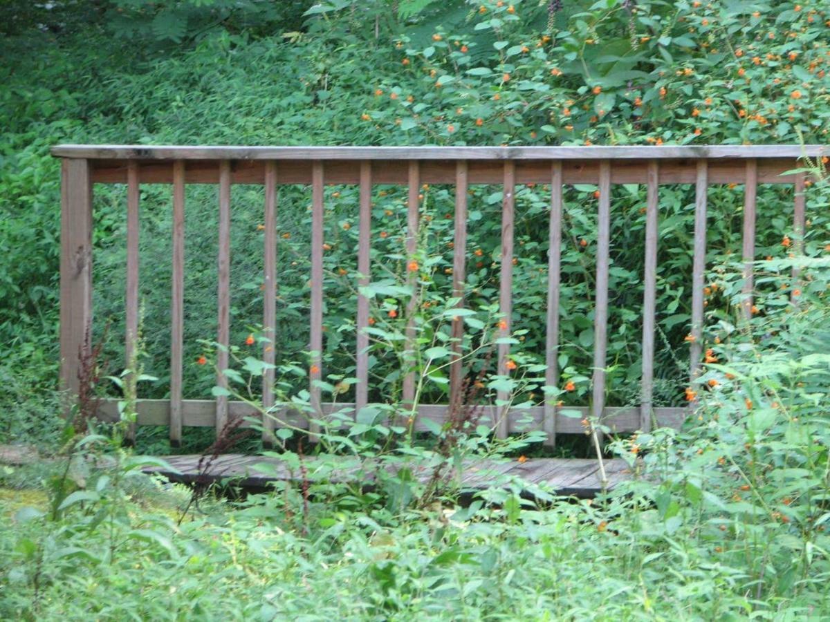 Cozy Creek Cabin Pigeon Forge Exteriör bild