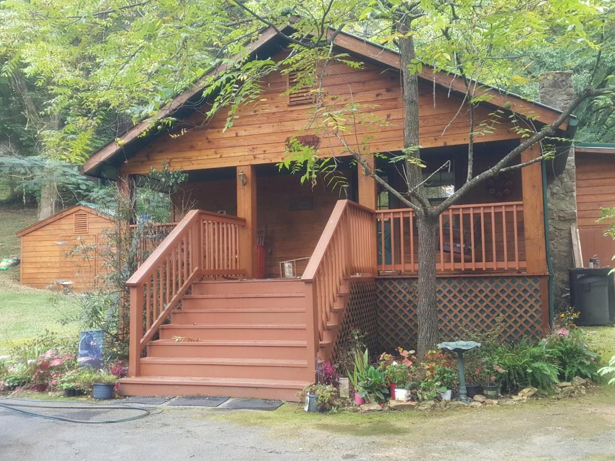 Cozy Creek Cabin Pigeon Forge Exteriör bild