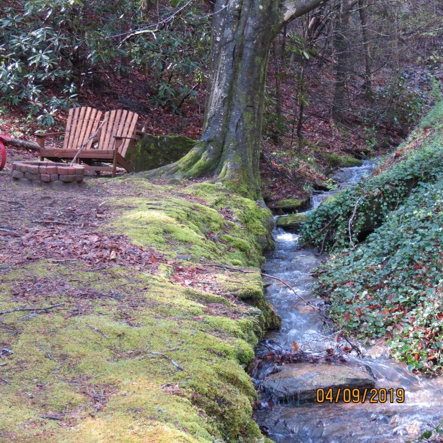 Cozy Creek Cabin Pigeon Forge Exteriör bild