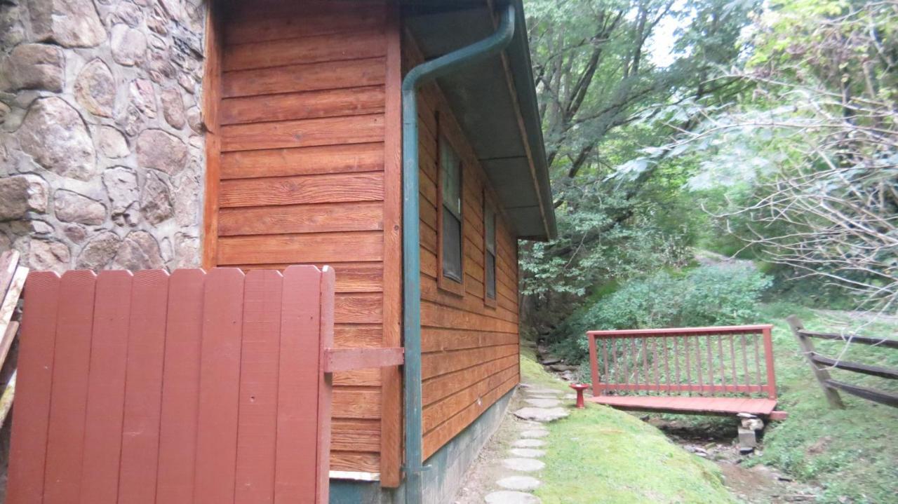 Cozy Creek Cabin Pigeon Forge Exteriör bild