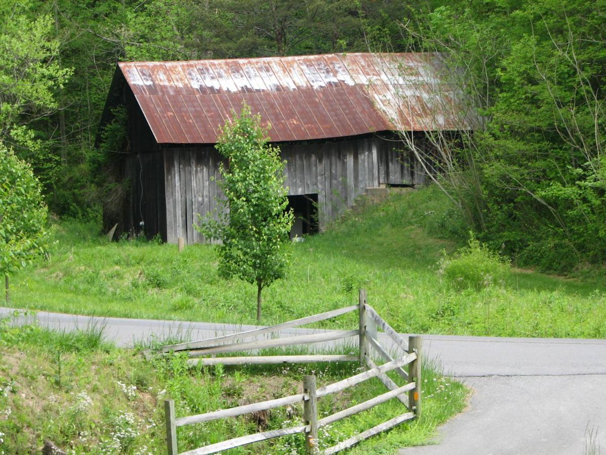 Cozy Creek Cabin Pigeon Forge Exteriör bild